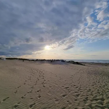 Plaza Zz24 Located On The Dunes * Oostduinkerke