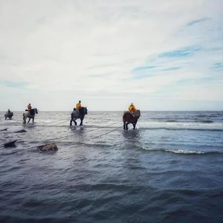 In Near The Oostduinkerke