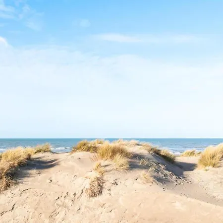 Plaza Zz24 Located On The Dunes * Oostduinkerke