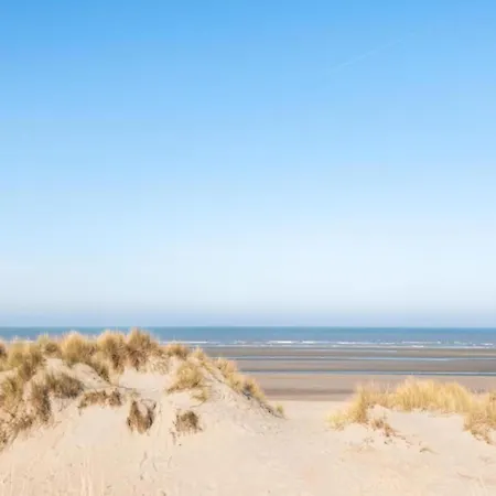 Plaza Zz24 Located On The Dunes Oostduinkerke