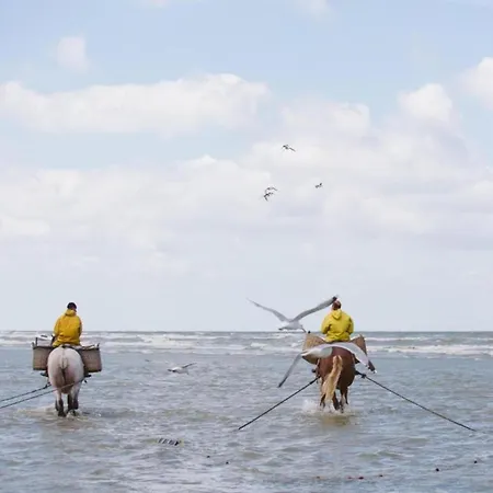 In Near The Apartment