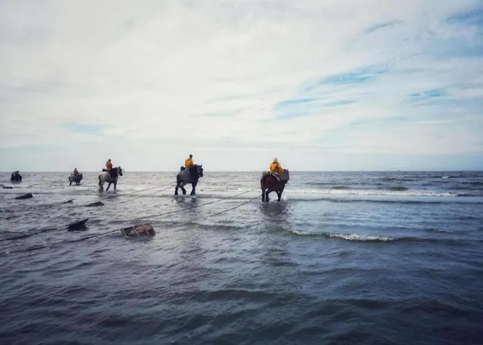 In Near The * Oostduinkerke